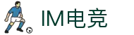 IM(股份有限公司)电竞-电子竞技平台